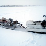 Полевые фотографии Д.Воробьева Полевые фотографии Д.Воробьева